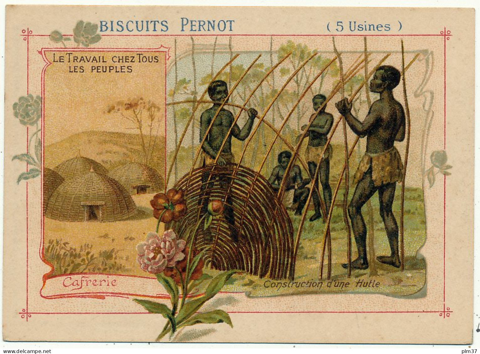 Biscuits PERNOT - Cafrerie, Construction D'une Hutte - Pernot