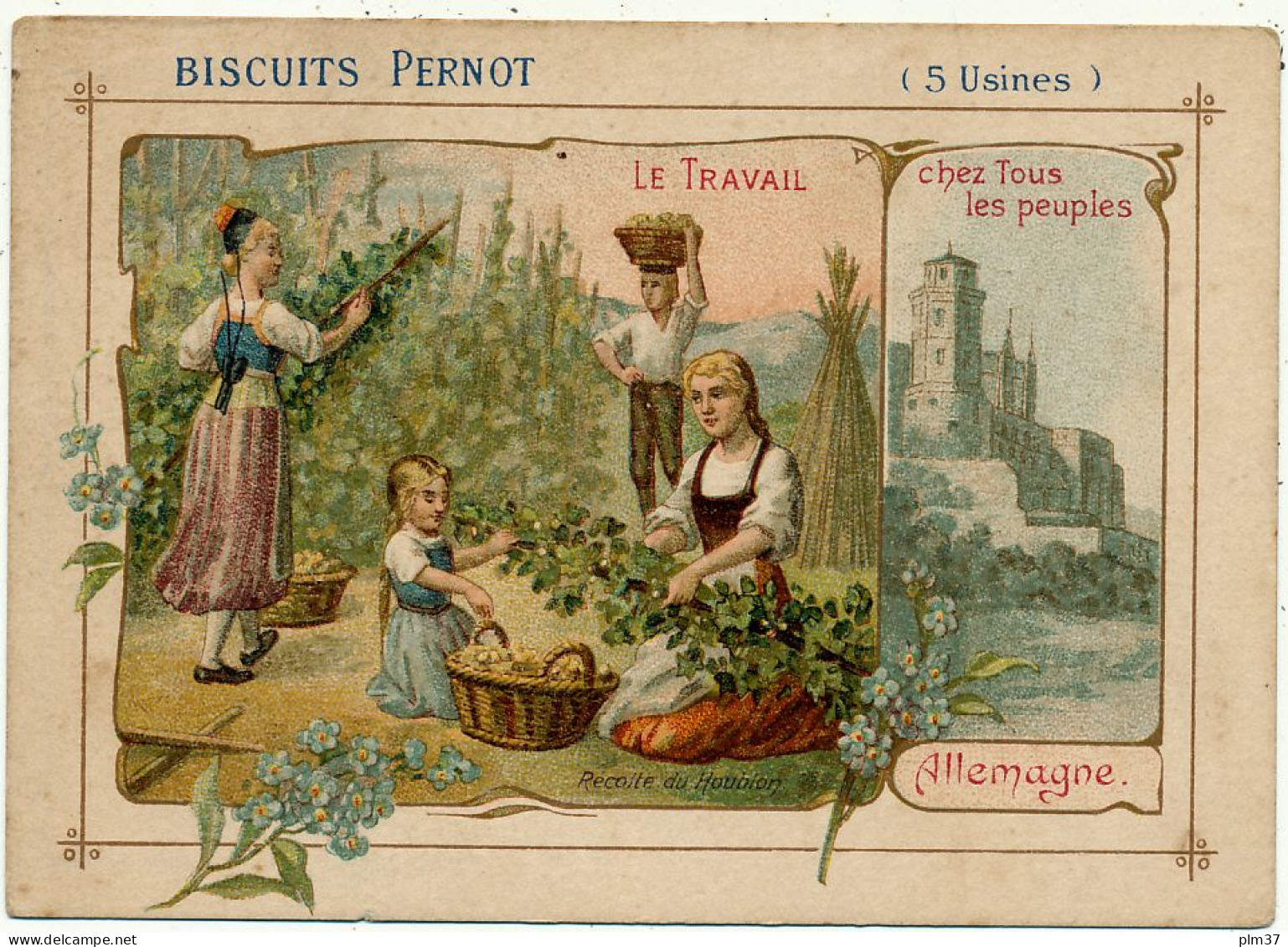 Biscuits PERNOT - Allemagne, Récolte Du Houblon - Pernot