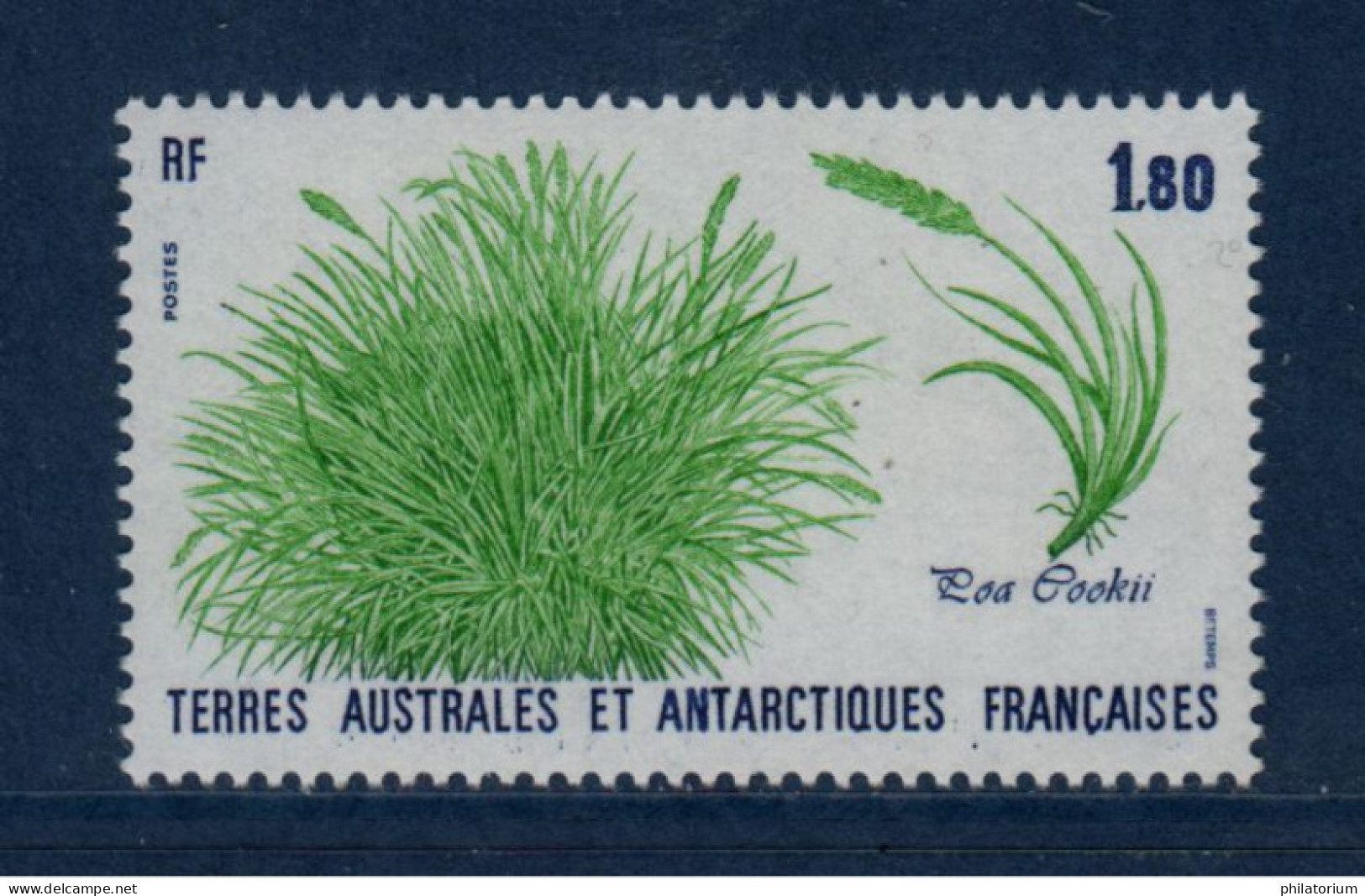 TAAF, **,  Yv 125, Mi 223, SG 221, Poa Cookii , Tussocks, - Neufs