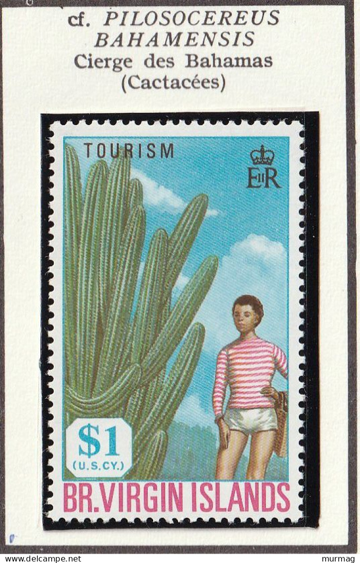 BRITISH VIRGIN ISLANDS - Cierge Des Bahamas - Y&T N° 202 - 1969 - MNH - Iles Vièrges Britanniques