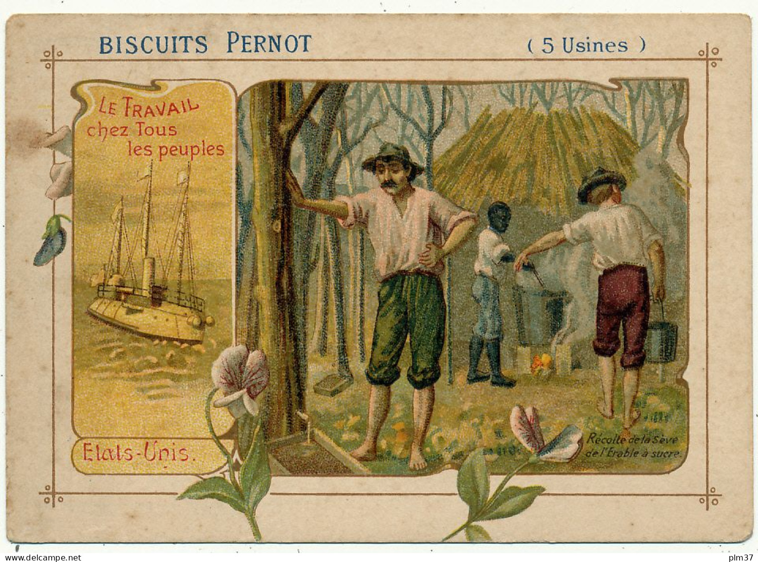 Biscuits PERNOT - Etats Unis, Récolte De La Sève De L'Erable - Pernot