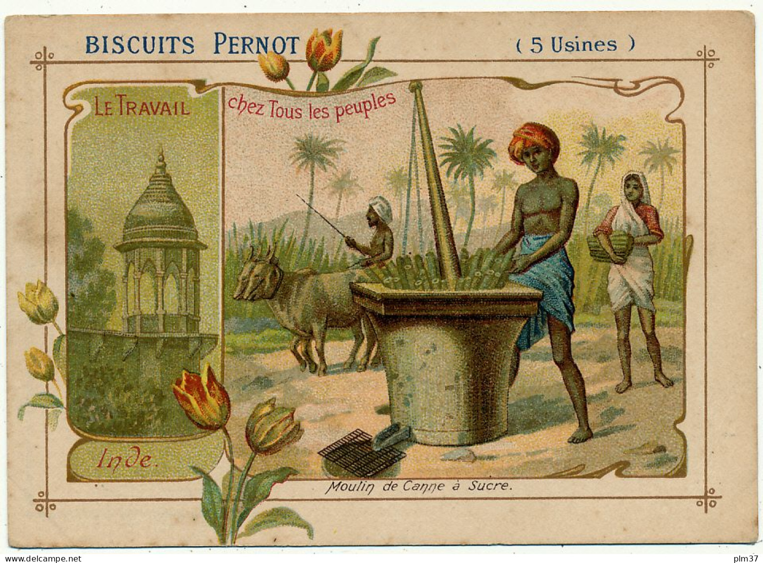 Biscuits PERNOT - Inde, Moulin De Canne à Sucre - Pernot