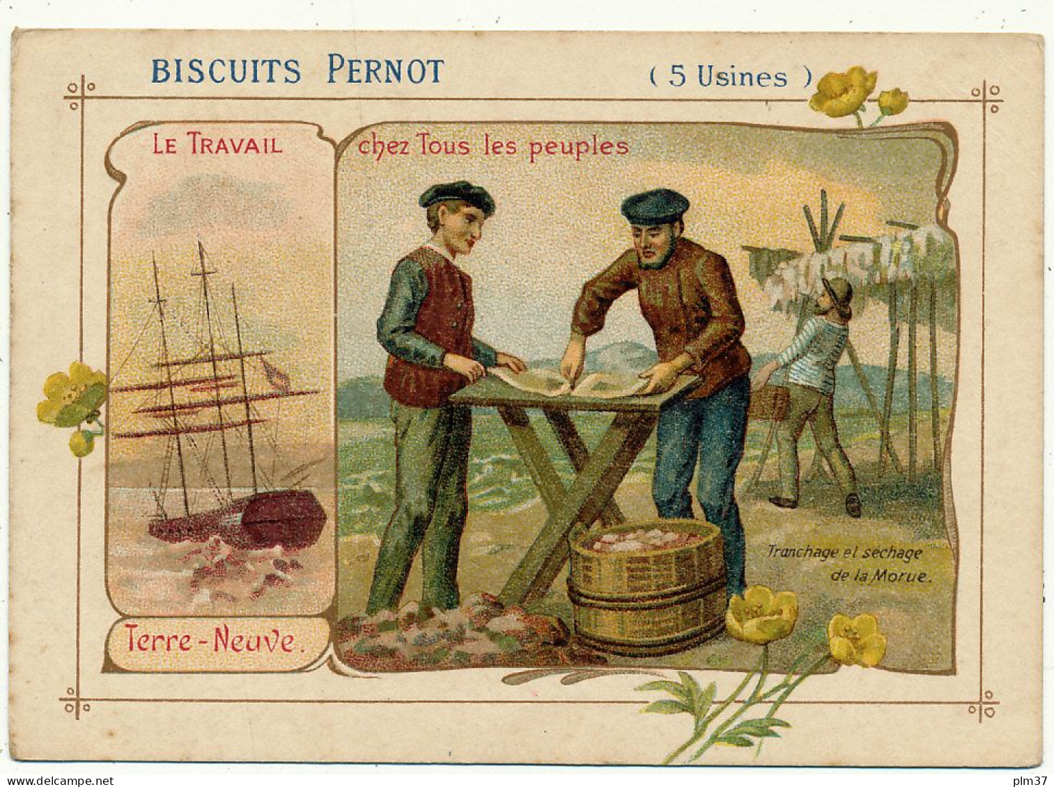 Biscuits PERNOT - Terre Neuve, Tranchage Et Séchage De La Morue - Pernot