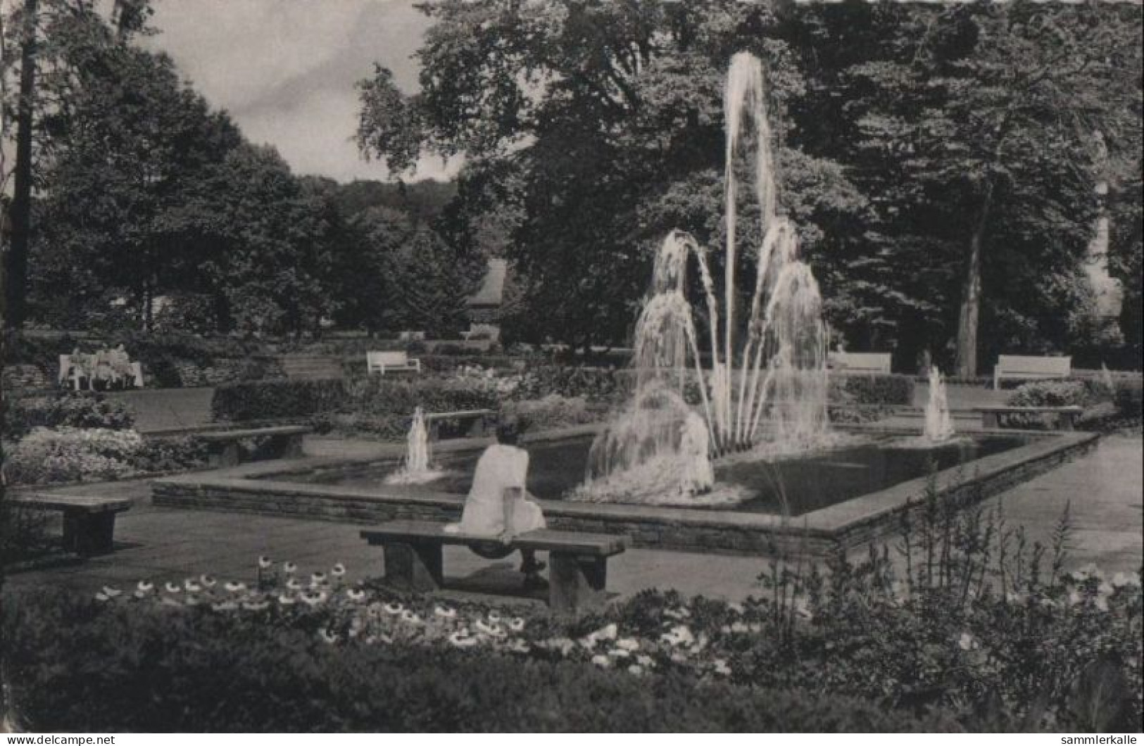 58704 - Bad Driburg - Partie Im Kurpark - 1961 - Bad Driburg