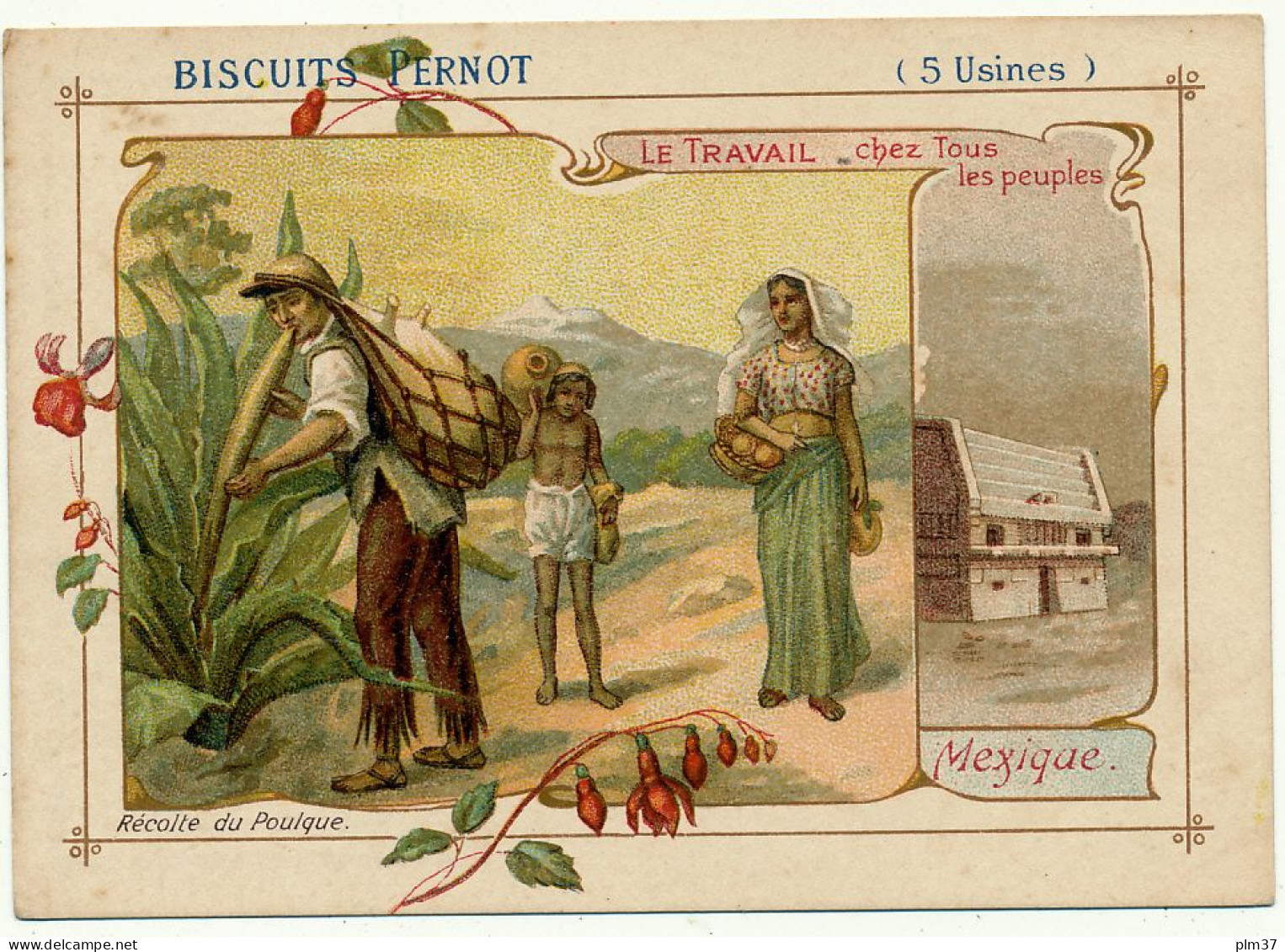 Biscuits PERNOT - Mexique, Récolte Du Poulque - Pernot