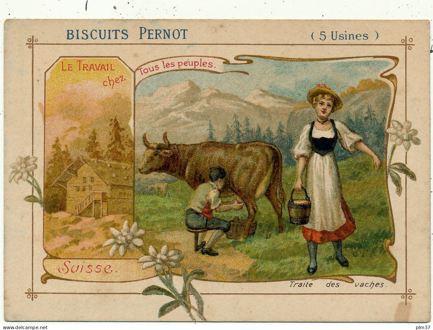 Biscuits PERNOT - Suisse, Traite Des Vaches - Pernot