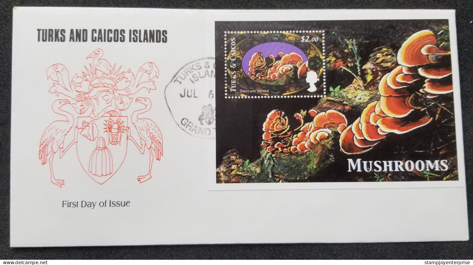 Turks & Caicos Islands Mushrooms 2000 Fungi Plant Mushroom (FDC) *see Scan - Turks E Caicos