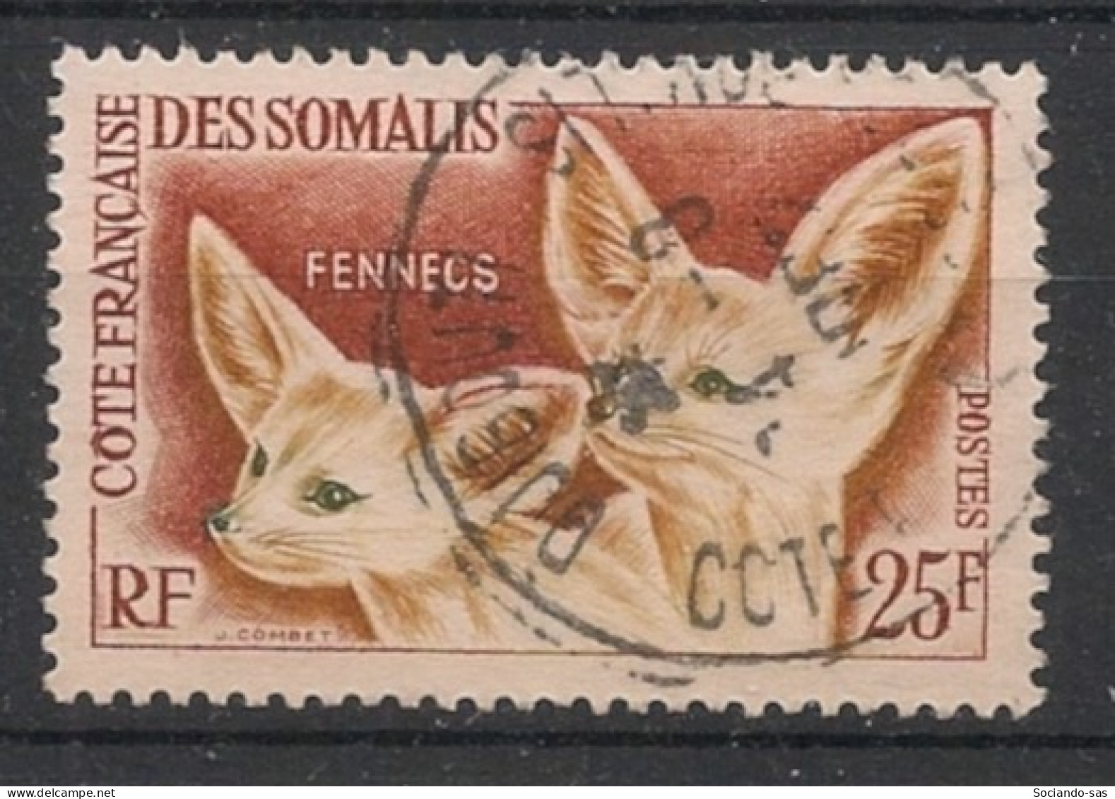 COTE DES SOMALIS - 1962 - N°YT. 308 - Fennecs - Oblitéré / Used - Oblitérés