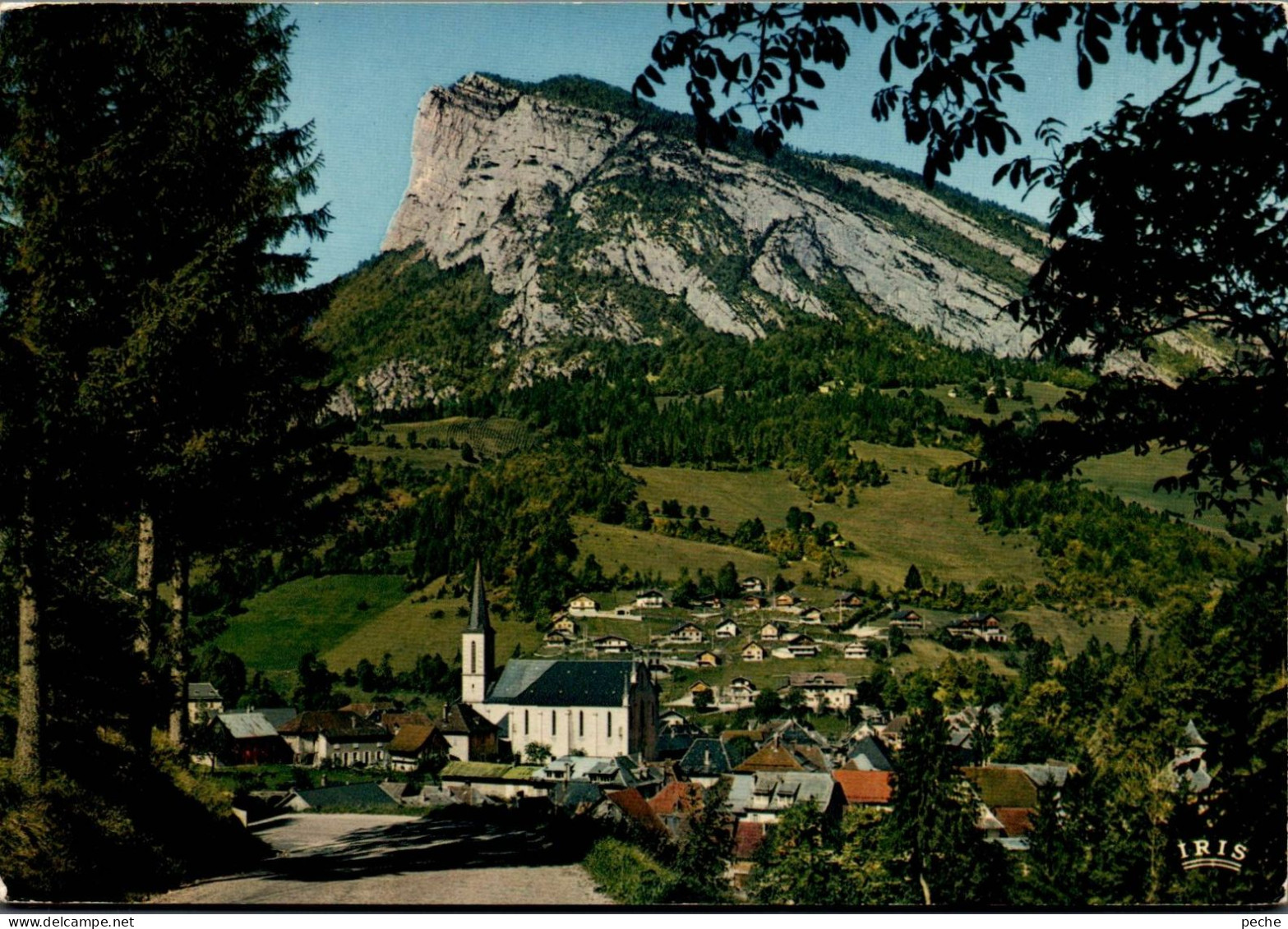 N°2269 Z -cpsm Saint Pierre D'Entremont -vue Générale- - Saint-Pierre-d'Entremont