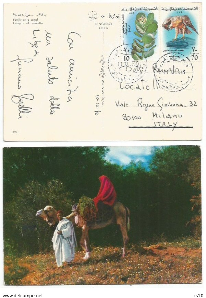 Libya LAR Family On A Camel - Pcard Benghazi 11oct1976 With Natural History 10d Plant + 70d Hawk - Libyen