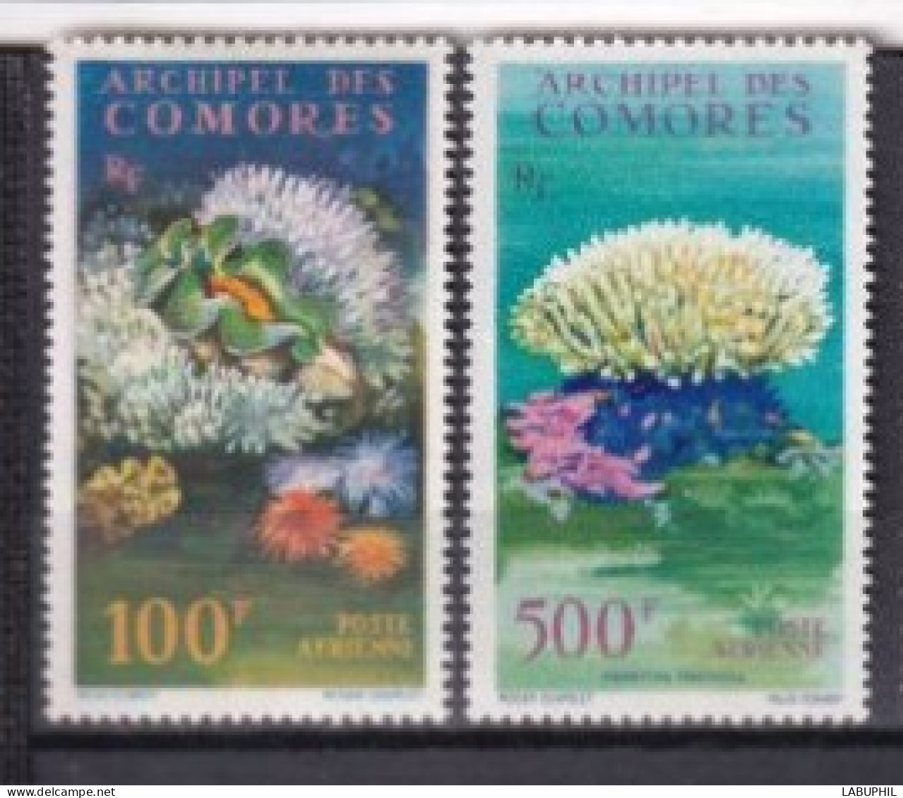 COMORES  NEUF MNH ** Poste Aerienne 1962 Faune Marine - Unused Stamps