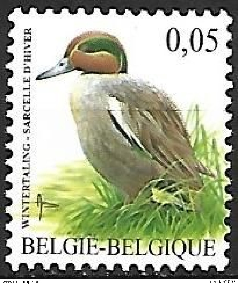 Belgium - MNH ** BUZIN - 2007 : Wintertaling -  Eurasian Teal  -  Anas Crecca - Zangvogels