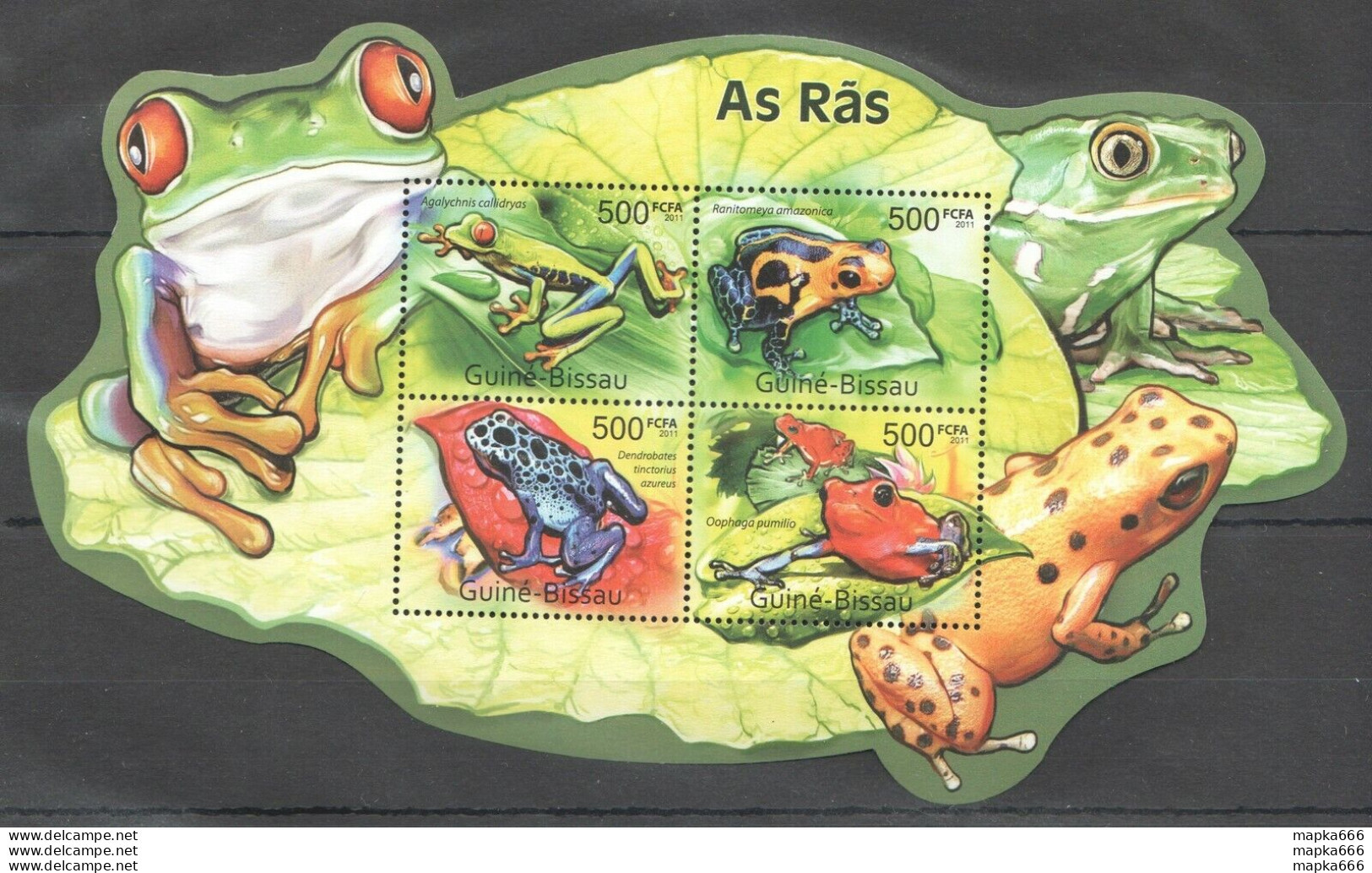 Bc660 2011 Guinea-Bissau Fauna Reptiles & Amphibians Frogs As Ras Kb Mnh - Andere & Zonder Classificatie