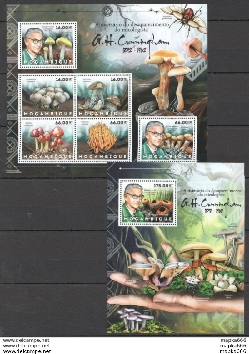 Bc1179 2012 Mozambique Flora Mushrooms Gordon Herriot Cunningham Bl+Kb Mnh - Champignons