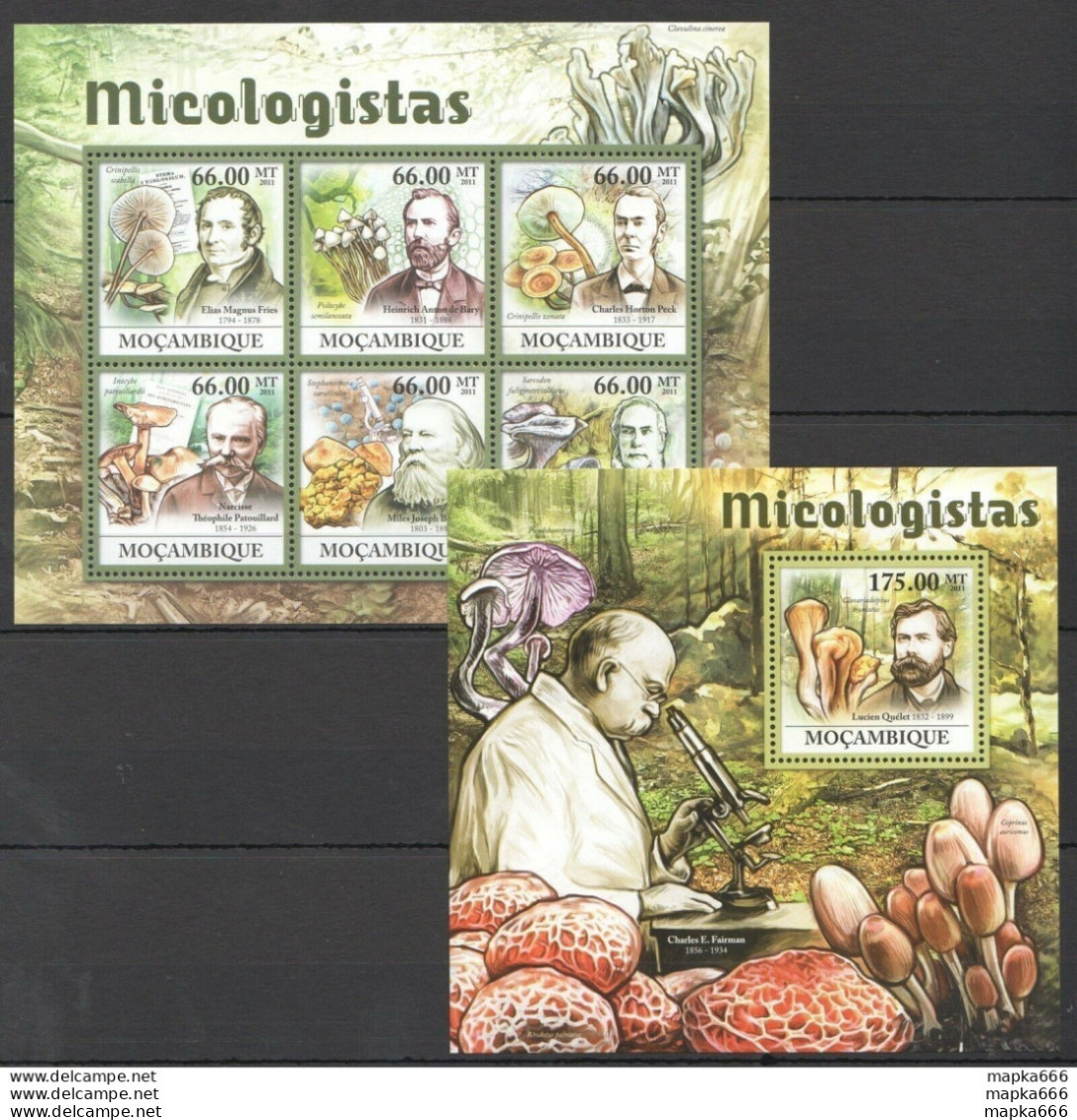 Bc1238 2011 Mozambique Flora Nature Mycologists Mushrooms 1Bl+1Kb Mnh - Champignons