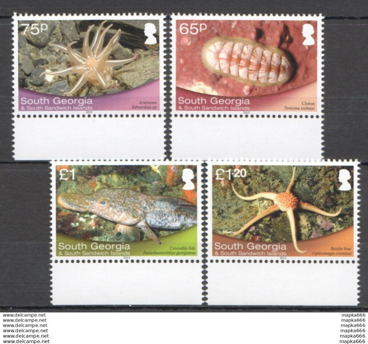 Fat009 2014 South Georgia Fishes Marine Life Fauna #598-601 14 Euro Mnh - Marine Life