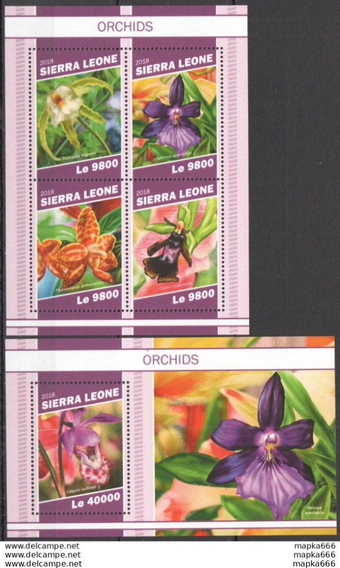 Hm1410 2018 Sierra Leone Orchids Flora Flowers #10514-7+Bl1609 Mnh - Orchidées