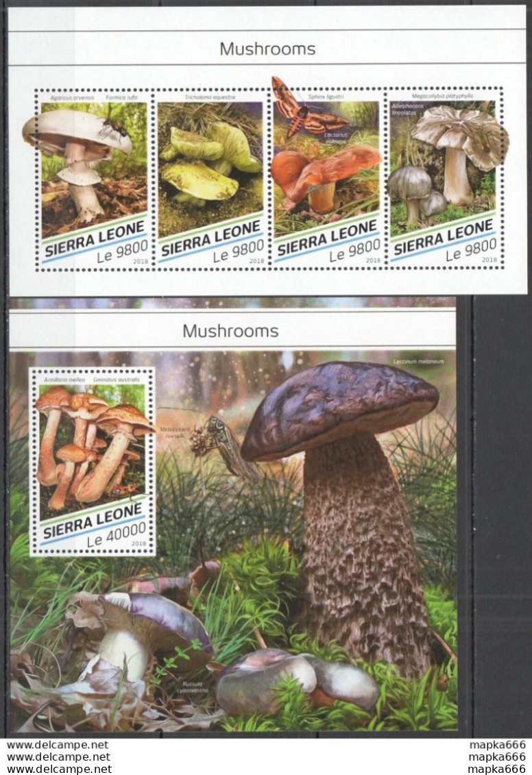 Hm1508 2018 Sierra Leone Mushrooms Insects Flora Nature #9734-7+Bl1475 Mnh - Hongos