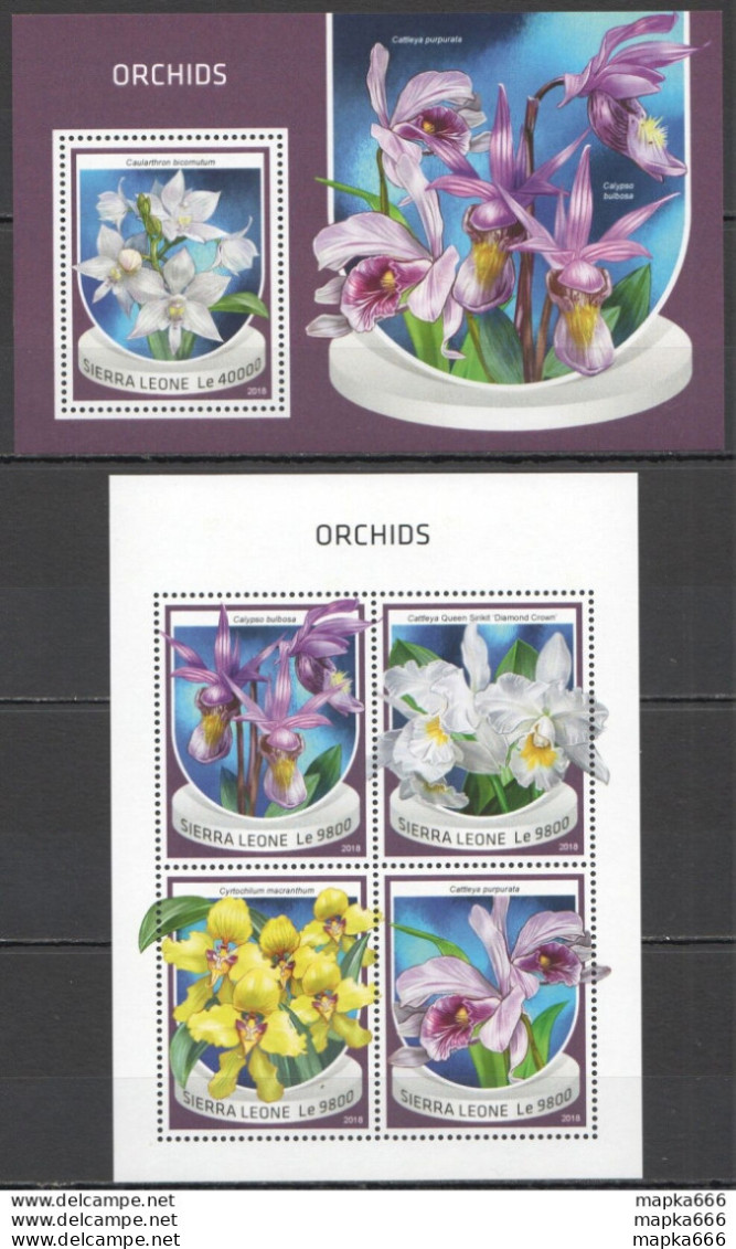 Hm1542 2018 Sierra Leone Orchids Flora Flowers #10046-9+Bl1518 Mnh - Orchidées