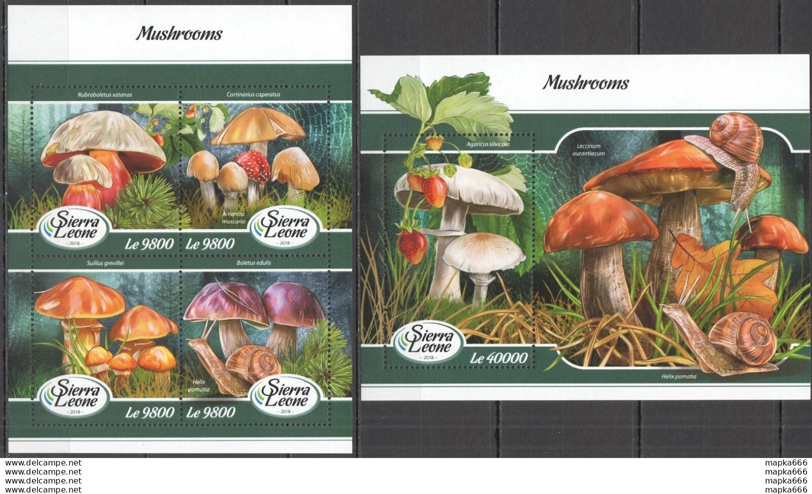 Hm1580 2018 Sierra Leone Mushrooms Snails Flora Nature #9240-3+Bl1377 Mnh - Pilze