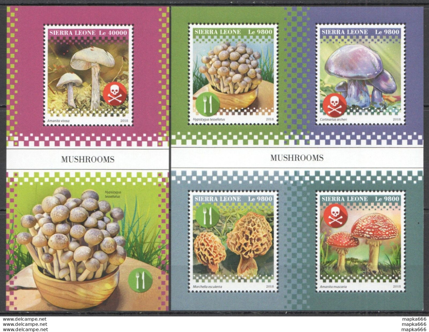 Hm1621 2018 Sierra Leone Mushrooms Flora Nature #10414-7+Bl1589 Mnh - Hongos