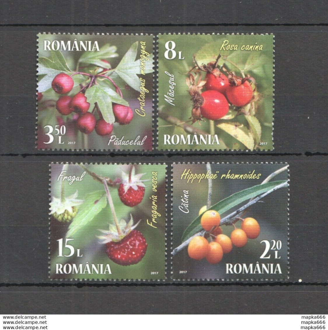 O1581 2017 Romania Flora Berries Flowers !!! 1Set Mnh - Autres & Non Classés