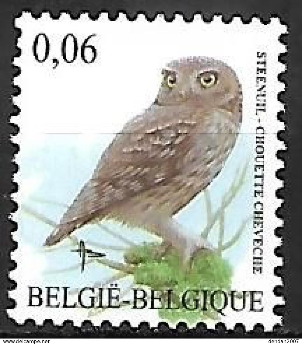 Belgium - MNH ** BUZIN - 2007 : Steenuil -   Little Owl  -  Athene Noctua - Hiboux & Chouettes
