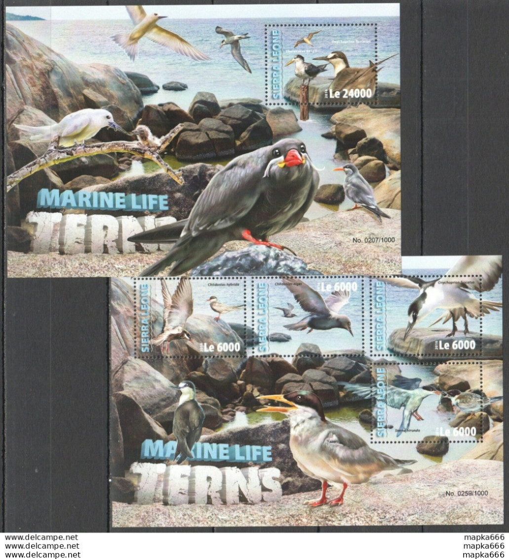 St310 2016 Sierra Leone Birds Fauna Marine Life Birds Terns Kb+Bl Mnh Stamps - Marine Life