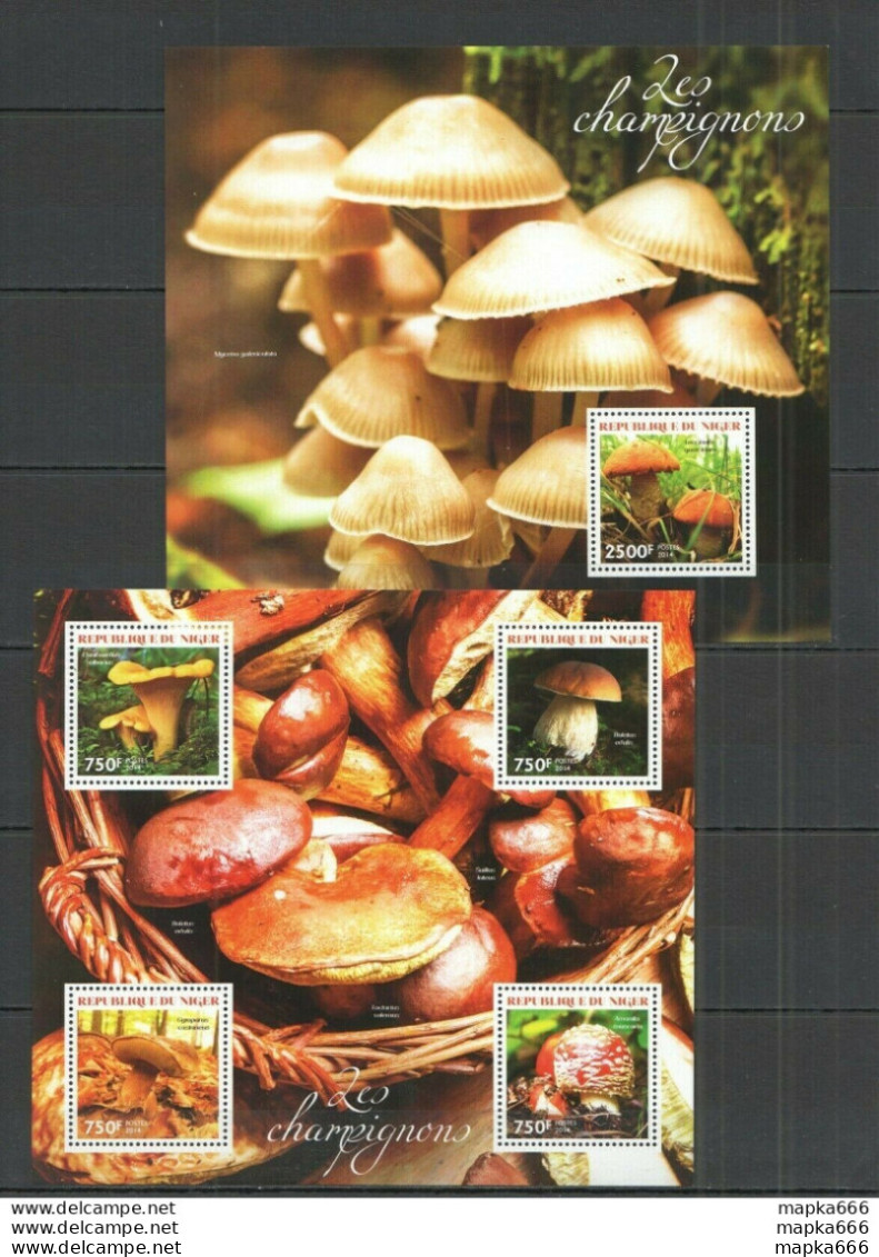 St2747 2014 Niger Flora Nature Mushrooms Les Champignons 1Kb+1Bl Mnh - Pilze