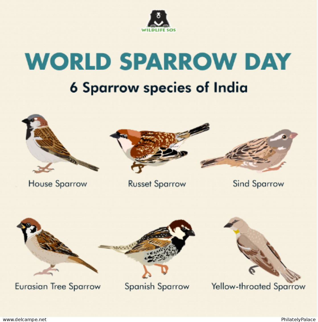 India 2024 World Sparrow, Bird,20th March, Environment, Animal, Registered Cover (**) (**) Inde Indien - Briefe U. Dokumente