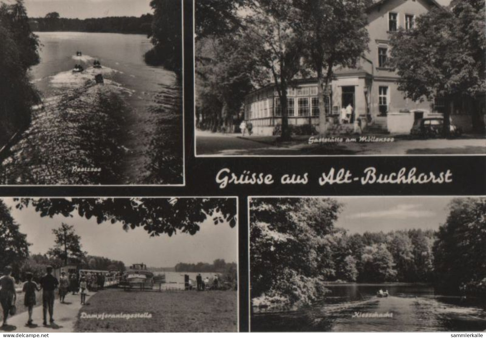 79929 - Grünheide-Altbuchhorst - U.a. Kiesschacht - 1969 - Grünheide