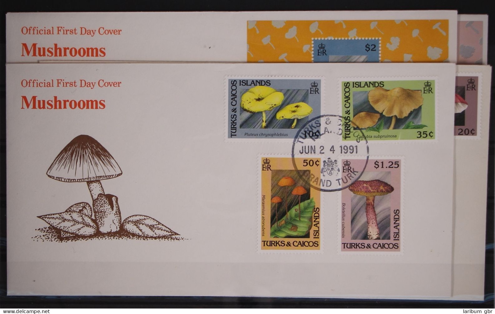 Turks Und Caicos 1009-1016 Und Block 105-106 Gestempelt Als FDC / Pilze #GC158 - Turks And Caicos