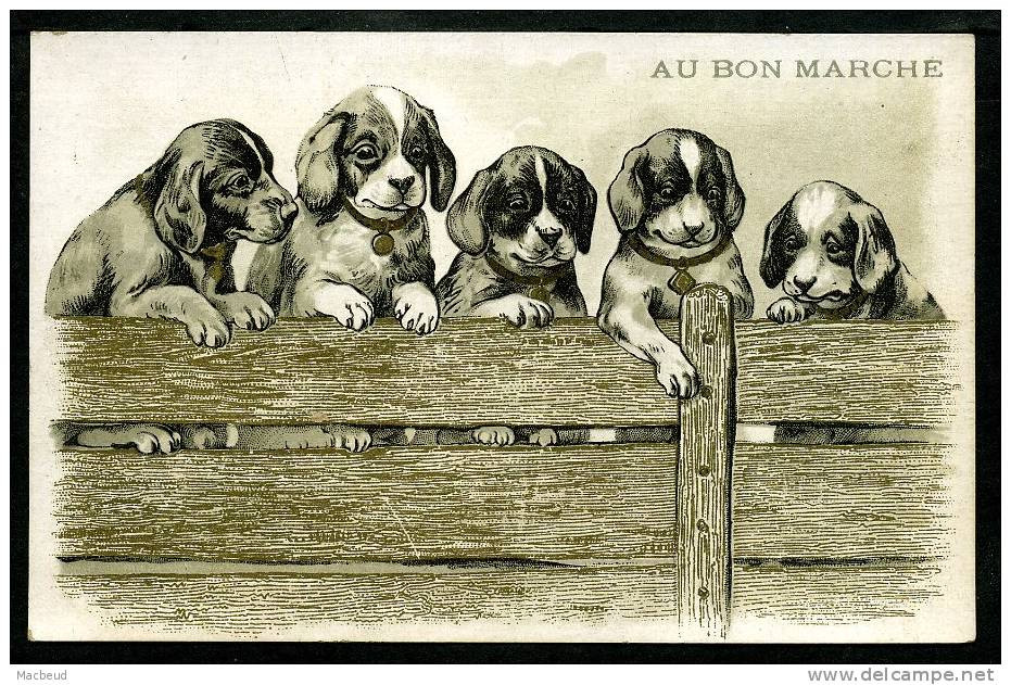 Au Bon Marché - Chiots - 13,7 X 9 Cm - Réhaussé D'Or - Au Bon Marché