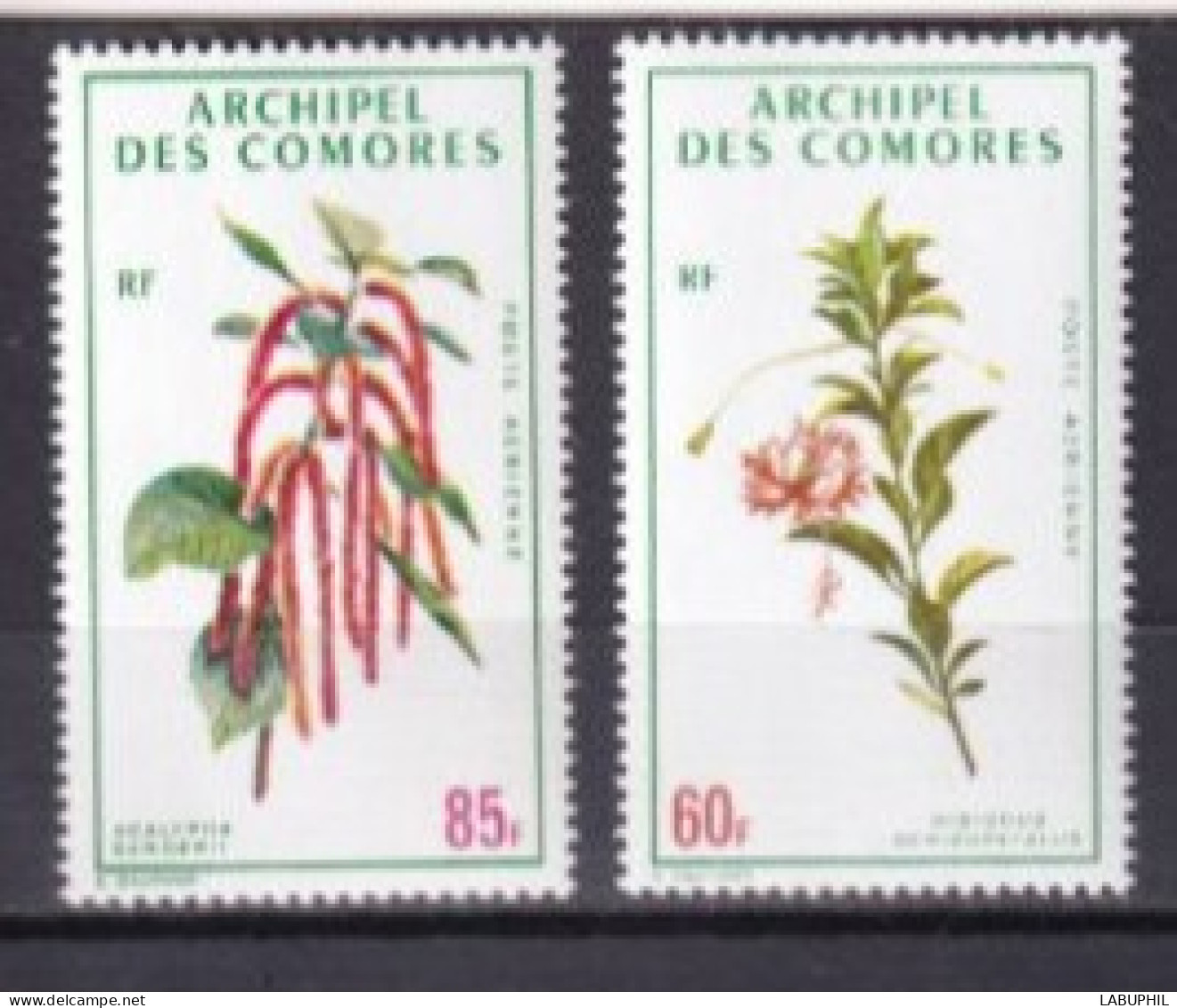 COMORES  NEUF MNH ** Poste Aerienne 1971 Fleurs - Unused Stamps