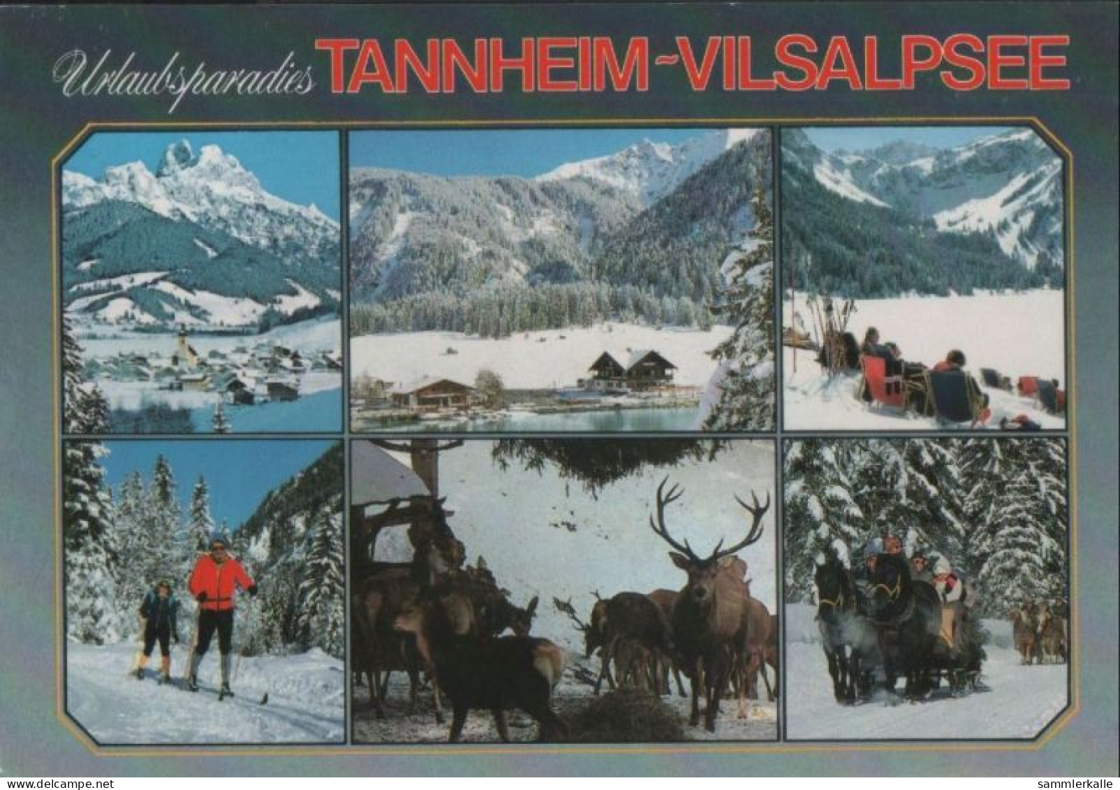 42415 - Österreich - Tannheim - Urlaubsromantik - 2010 - Tannheim