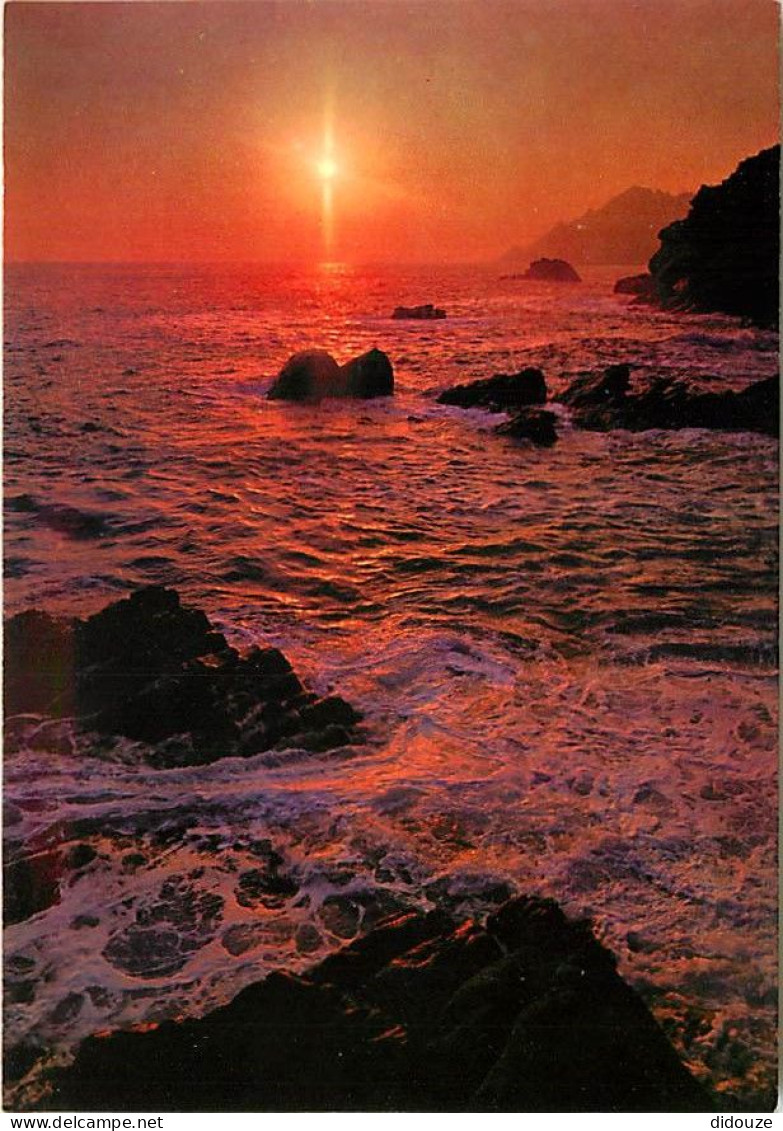 Coucher De Soleil - CPM - Voir Scans Recto-Verso - Contre La Lumière