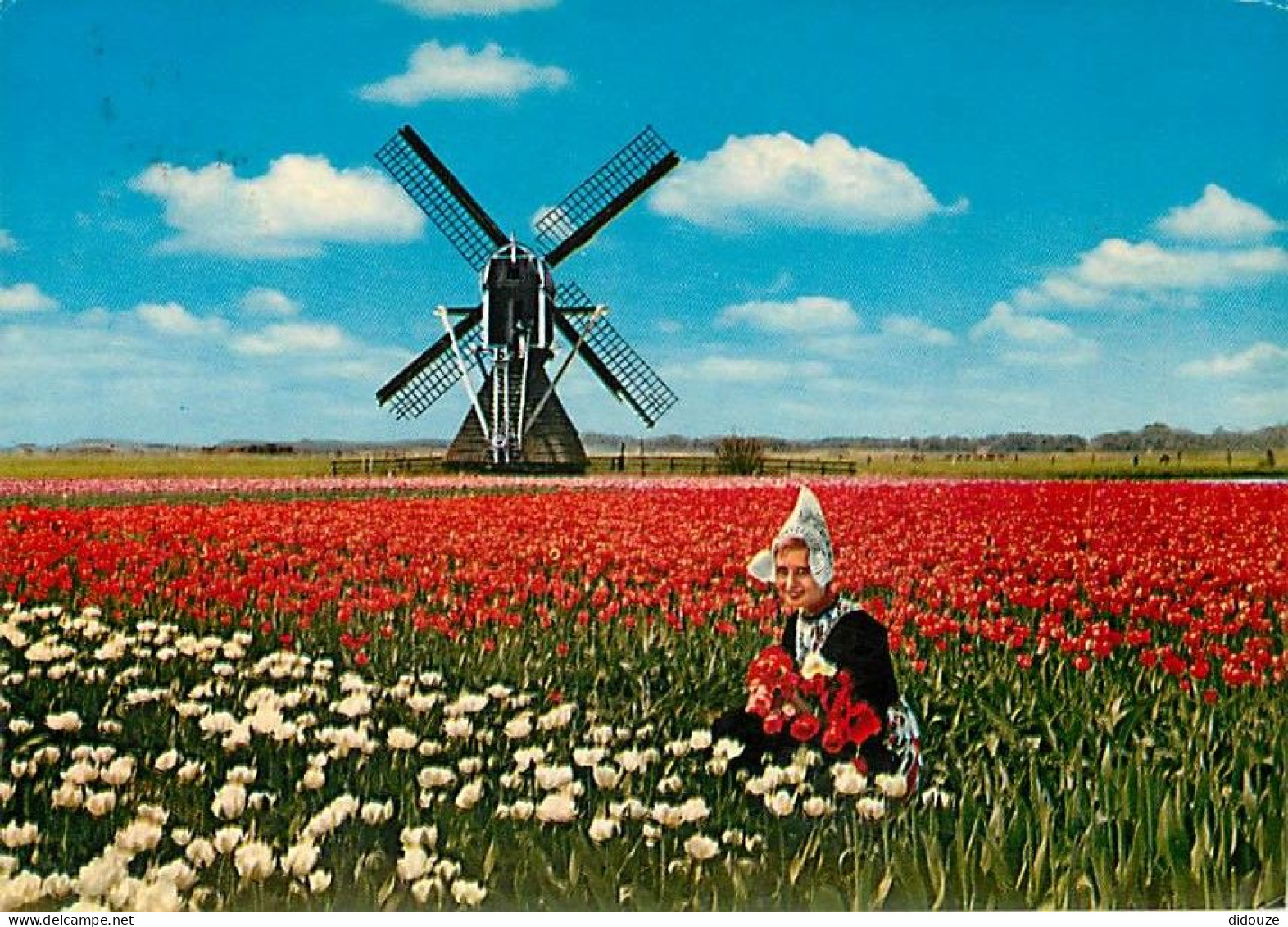 Moulin à Vent - CPM - Voir Scans Recto-Verso - Windmills