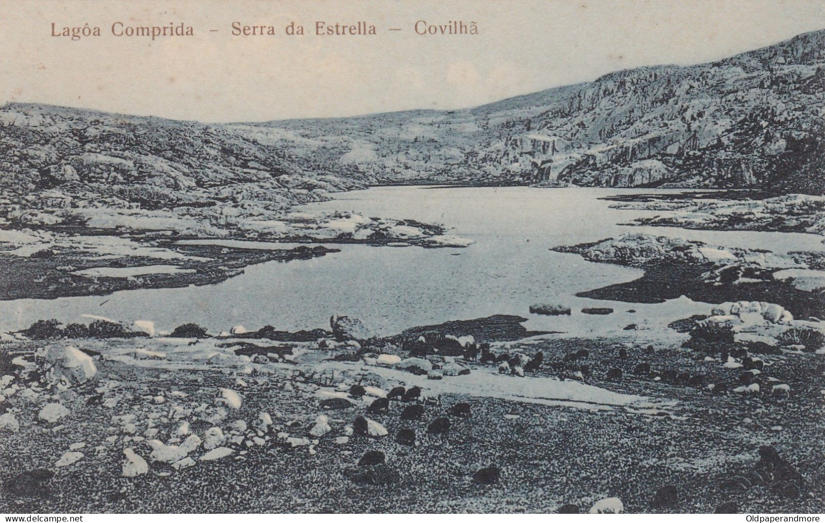 POSTCARD PORTUGAL - COVILHÃ - LAGOA COMPRIDA  - SERRA DA ESTRELA - Castelo Branco