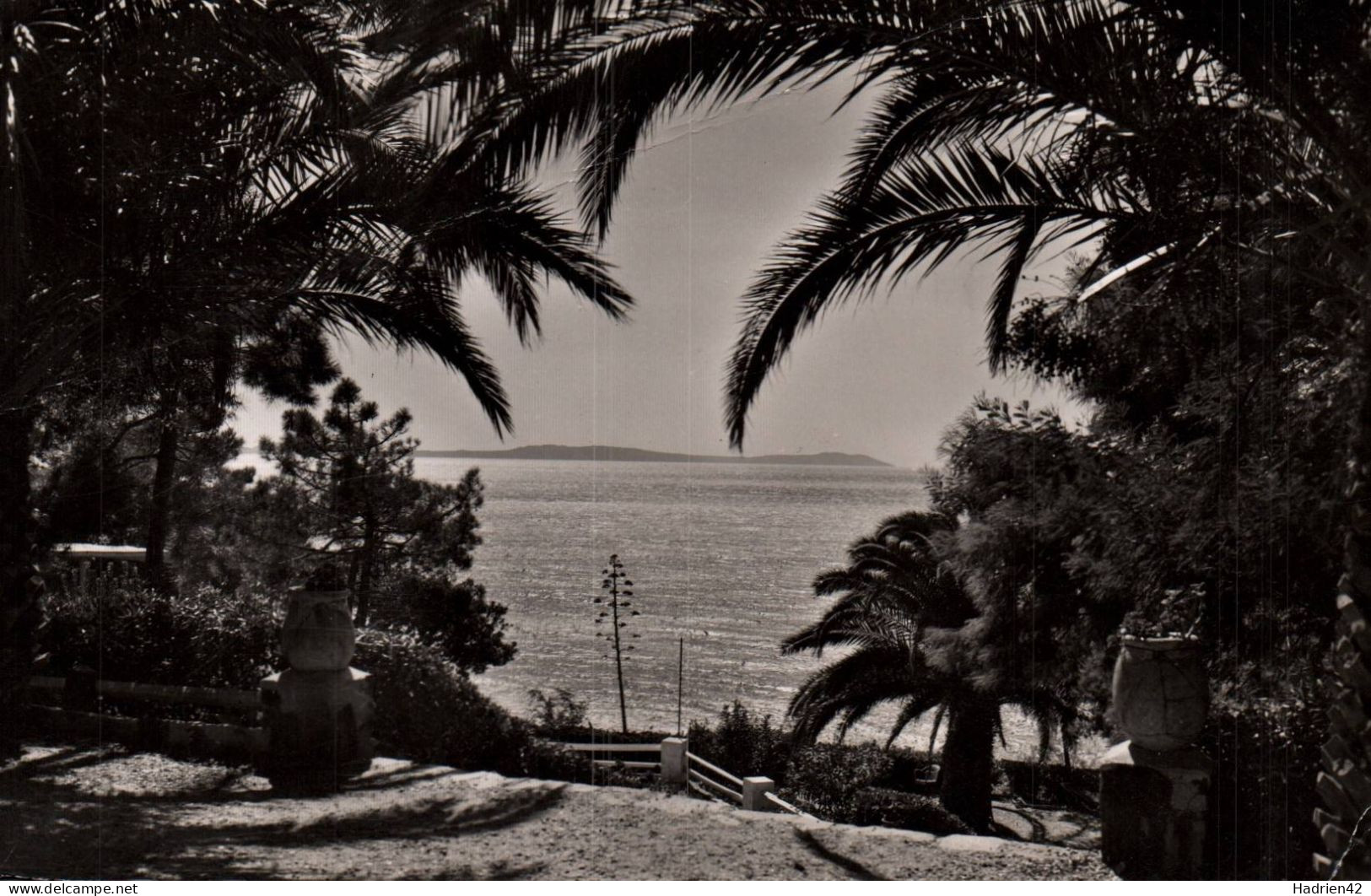 RECTO/VERSO - CPSM - LE RAYOL - CORNICHE DES MAURES - ABORDS DE LA PLAGE DU RAYOL - AU FOND LES ILES D'OR - Rayol-Canadel-sur-Mer