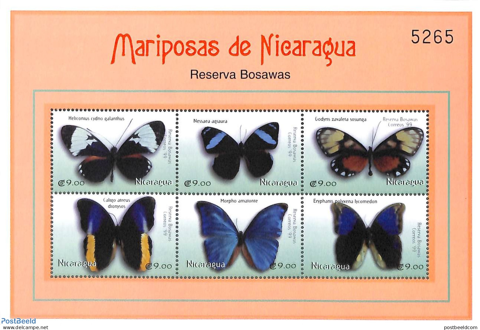 Nicaragua 2000 Butterflies 6v M/s, Heliconius, Mint NH, Nature - Butterflies - Nicaragua