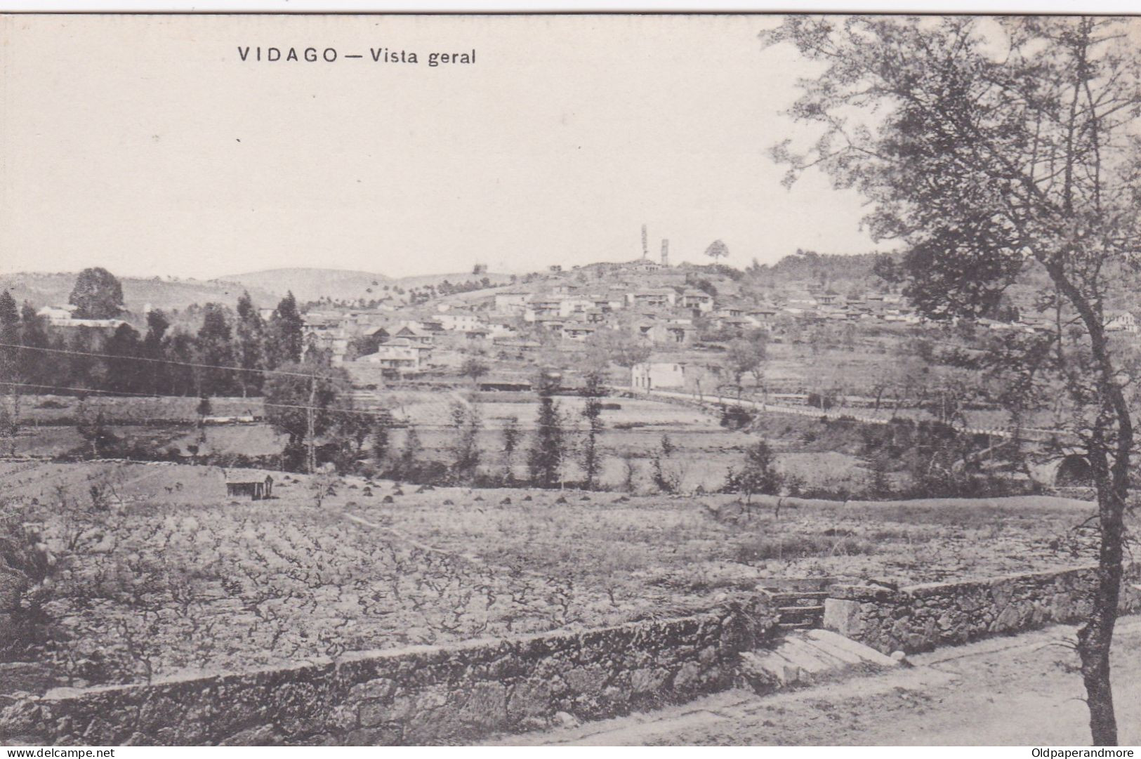 POSTCARD PORTUGAL - VIDAGO -  VISTA GERAL - Vila Real