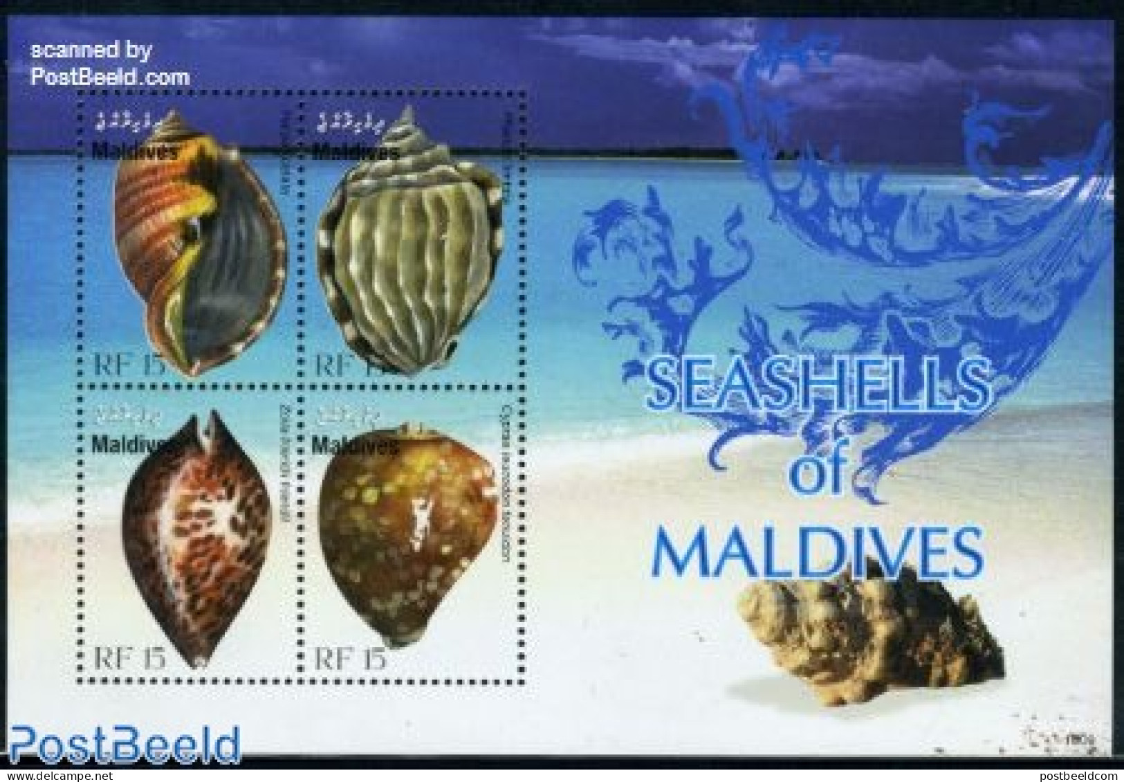 Maldives 2010 Seashells Of Maldives 4v M/s, Mint NH, Nature - Shells & Crustaceans - Marine Life