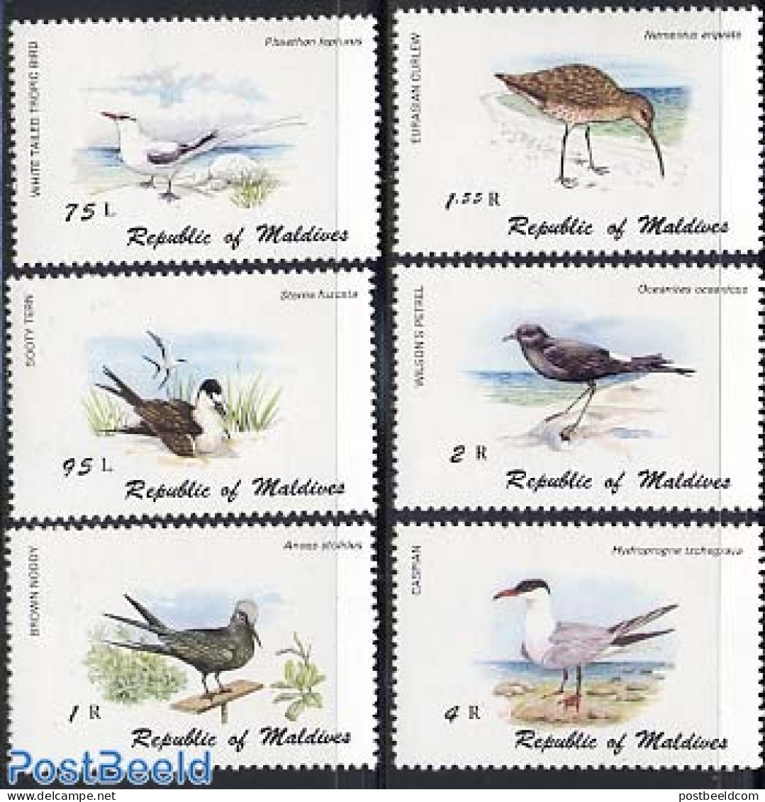 Maldives 1980 Sea Birds 6v, Mint NH, Nature - Birds - Maldives (1965-...)