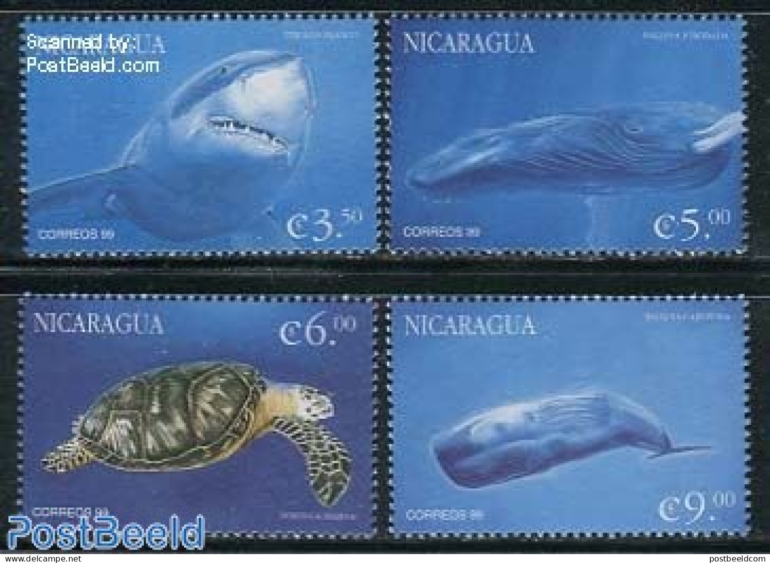 Nicaragua 2000 Marine Life 4v, Mint NH, Nature - Fish - Sea Mammals - Turtles - Sharks - Pesci
