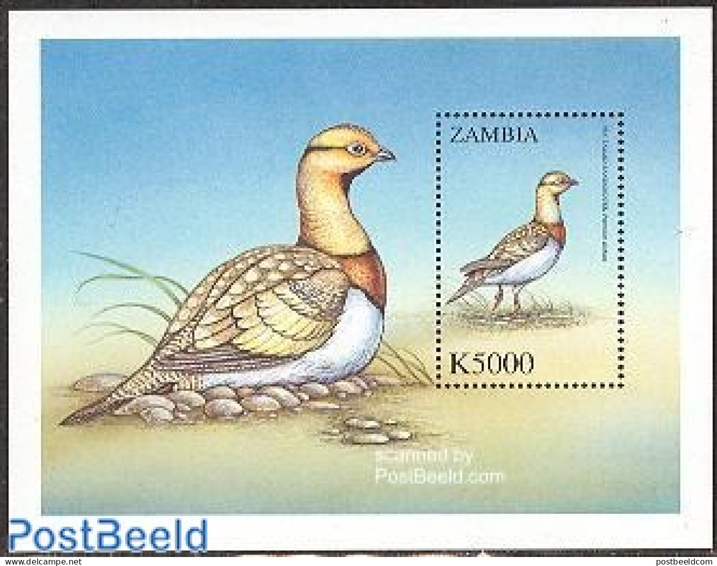 Zambia 2000 Birds, Pterocles Alchata S/s, Mint NH, Nature - Birds - Ducks - Zambie (1965-...)