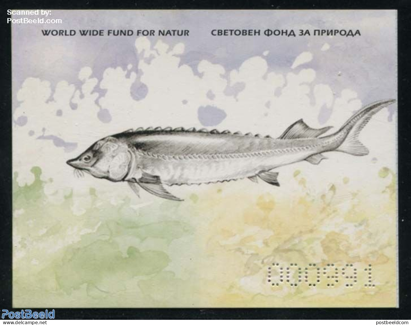 Bulgaria 2004 WWF, Fish Booklet, Mint NH, Nature - Animals (others & Mixed) - Fish - World Wildlife Fund (WWF) - Unused Stamps