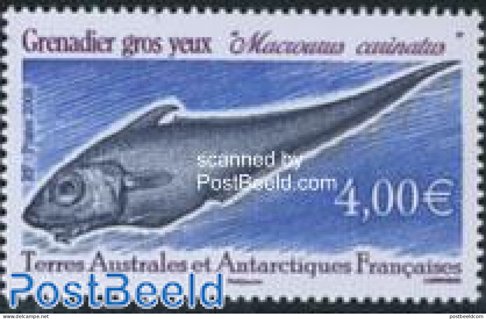 French Antarctic Territory 2008 Fish (Grenadier Gros Yeux) 1v, Mint NH, Nature - Fish - Ungebraucht