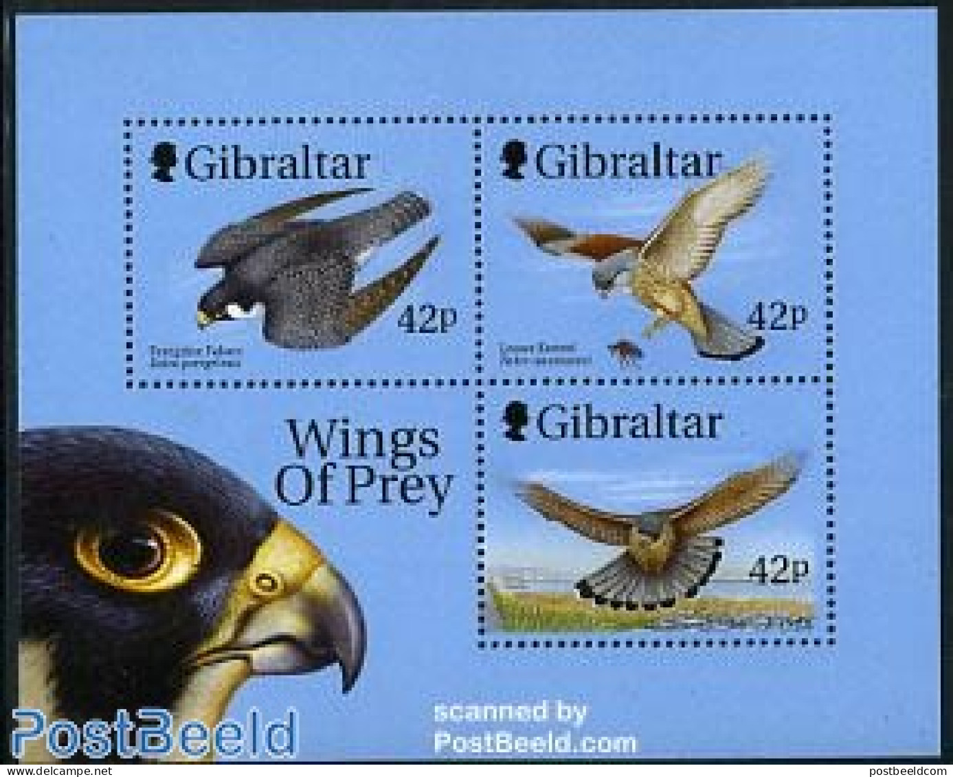Gibraltar 1999 Birds Of Prey S/s, Mint NH, Nature - Birds - Birds Of Prey - Gibraltar