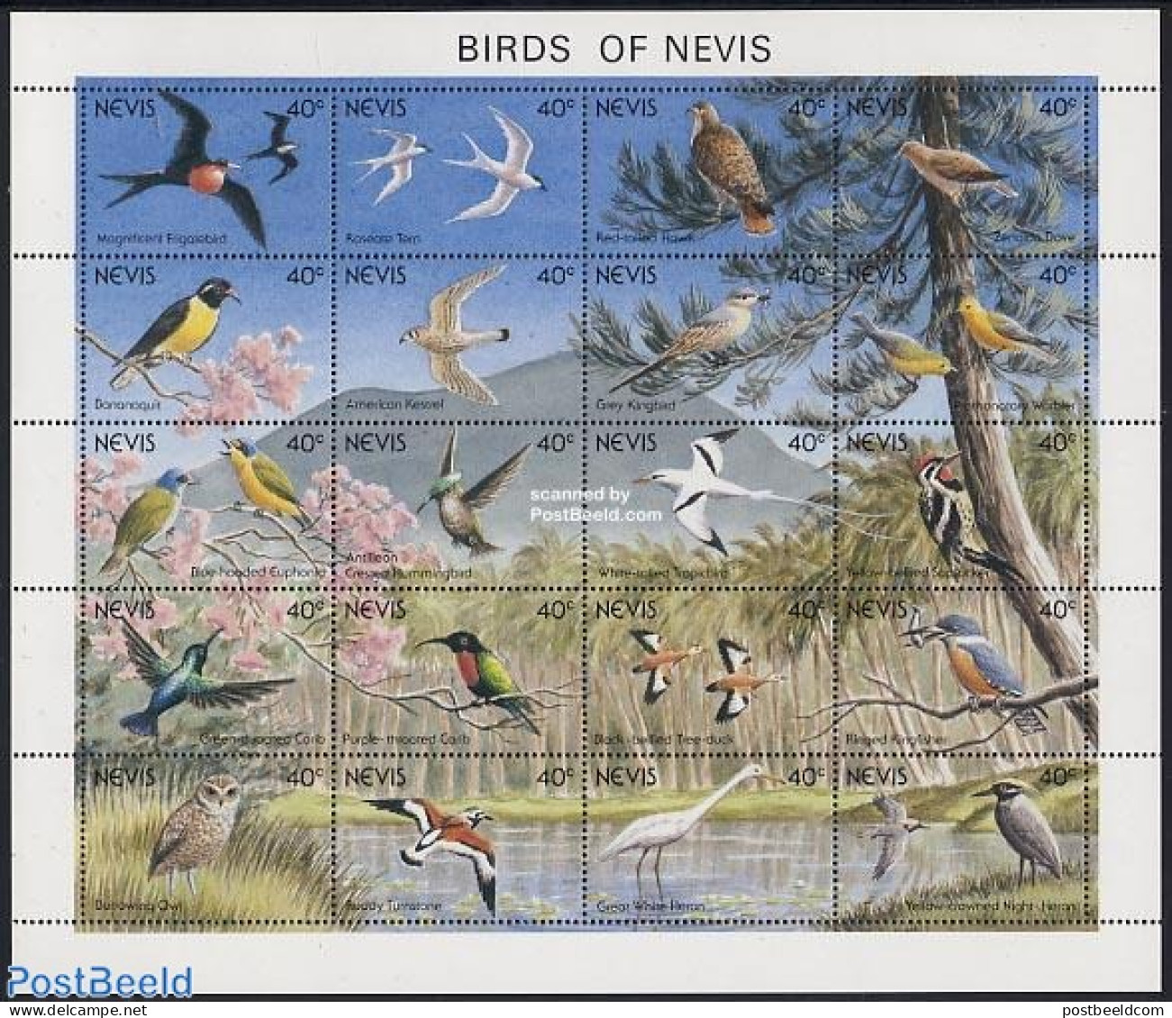 Nevis 1991 Birds 20v M/s, Mint NH, Nature - Birds - Owls - Kingfishers - Woodpeckers - Hummingbirds - St.Kitts-et-Nevis ( 1983-...)