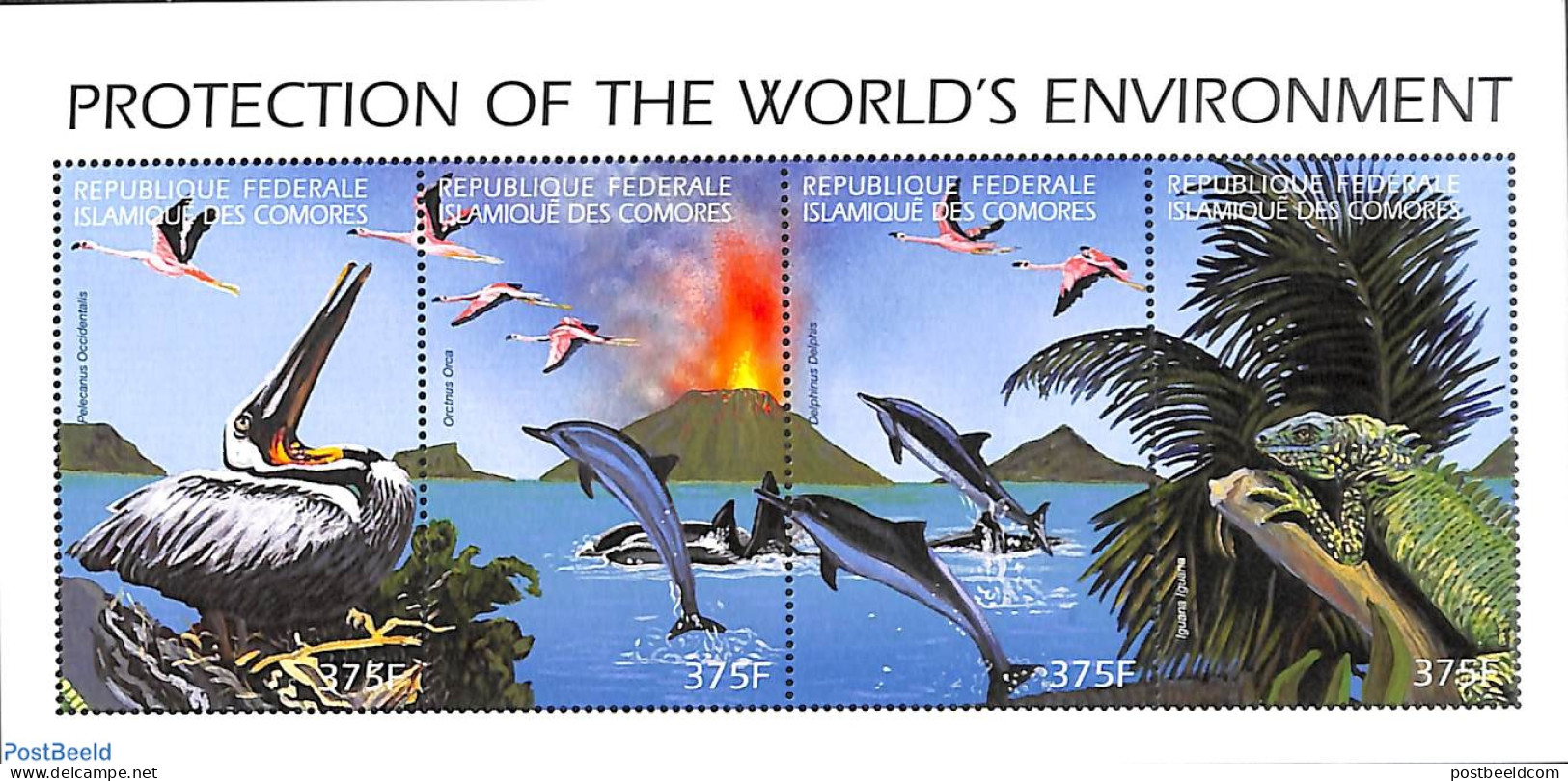 Comoros 1999 Environment 4v M/s, Brown Pelican, Mint NH, Nature - Animals (others & Mixed) - Birds - Sea Mammals - Comores (1975-...)